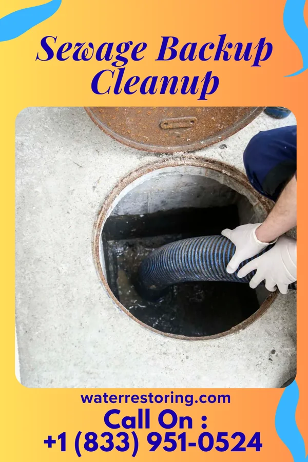 Sewage Backup Cleanup in West Milwaukee, WI